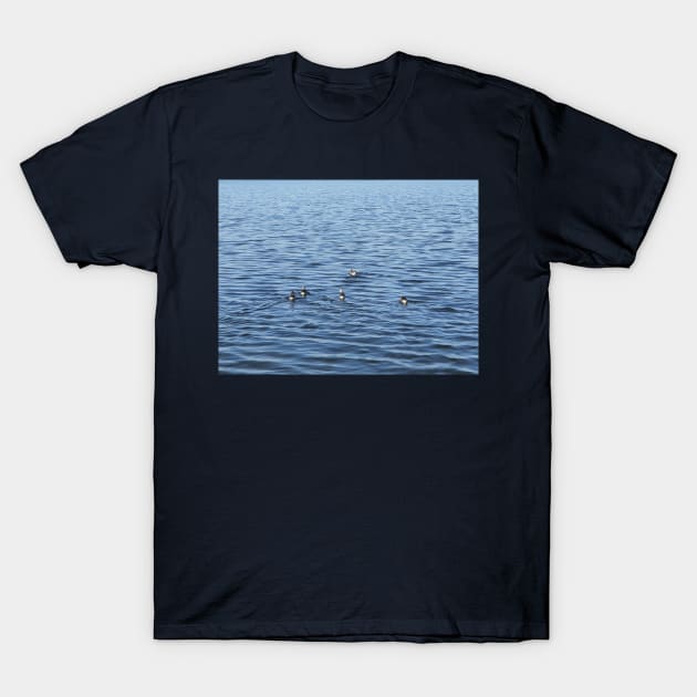 Ducks on the Water Surface T-Shirt by Kate-P-